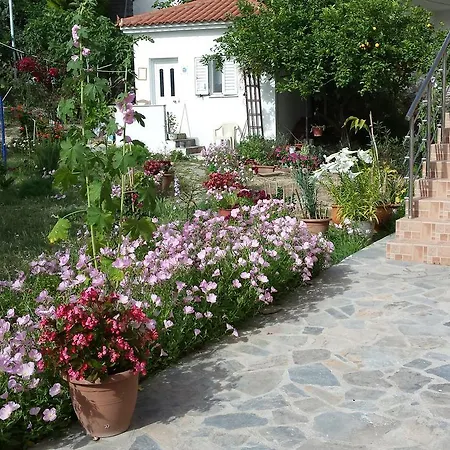 Apartment Akti Zaga